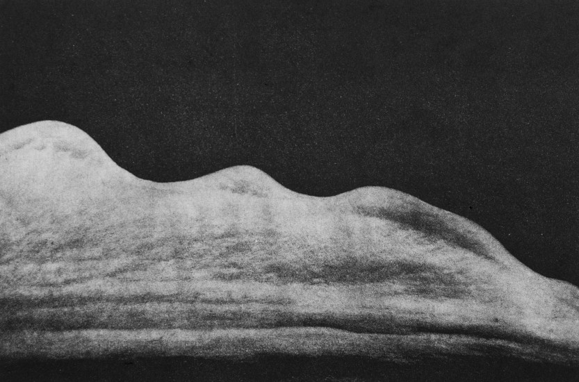 Organic composition III | 2017 | 38x58cm | photogravure